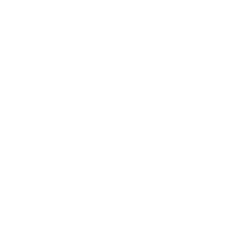 bear logo